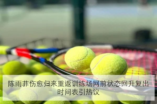 陈雨菲伤愈归来重返训练场网前状态回升复出时间表引热议
